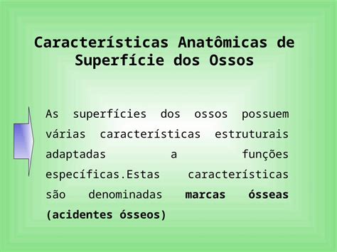 Ppt Caracter Sticas Anat Micas De Superf Cie Dos Ossos As Superf Cies