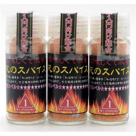 極み！激辛道 美味しくて激辛！調味料「死のスパイス 24g×3本セット」（辛さレベル1★） Shino 301極み