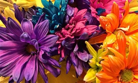 Colorful Flowers – Friday’s Free Jigsaw Puzzle