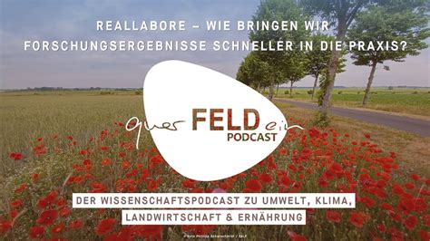 Reingeh Rt Querfeldein Podcast Reallabore Forschungsergebnisse