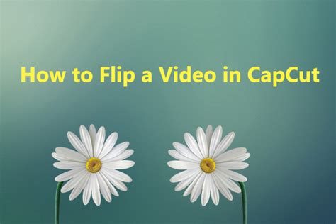 How To Flip And Rotate A Video In Capcut [mobile And Desktop] Minitool Moviemaker