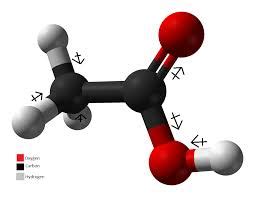 VINEGAR - General Information