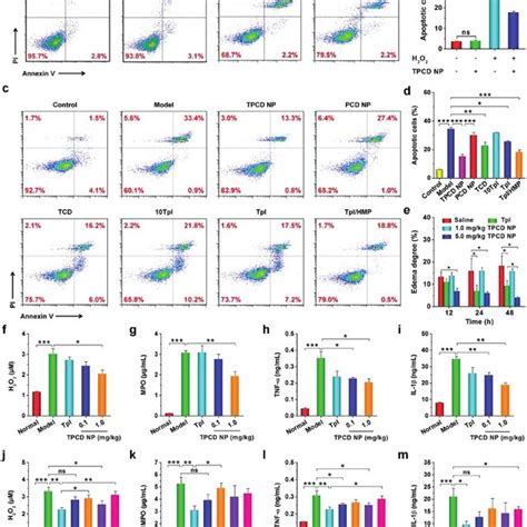 In Vitro Antioxidative Stress And In Vivo Anti Inflammatory Activities