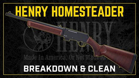 Gun Cleaning How To Clean The Henry Homesteader Mm Carbine Youtube