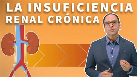 Enfermedad renal crónica y la insuficiencia renal Chronic kidney