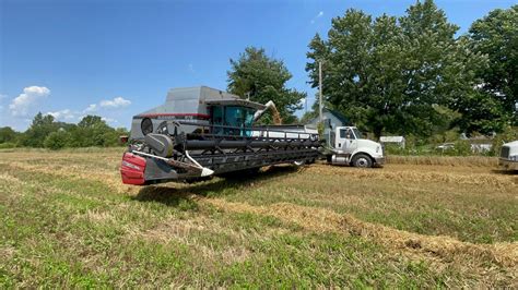 Gleaner R72 Harvesting Wheat YouTube