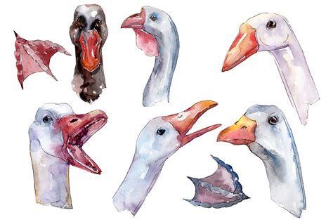 Farm Animals Goose Heads Watercolor Graphic By Mystocks · Creative Fabrica