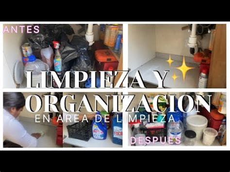 Limpiando Y Organizando El Rea De Los Productos De Limpieza