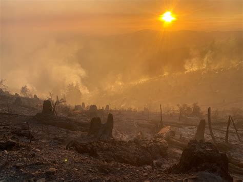 Nakia Creek Fire Latest All Evacuation Zones Lifted Rain In Forecast