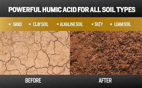 Amazon Gal Humic Acid For Lawn Covers Sq Ft