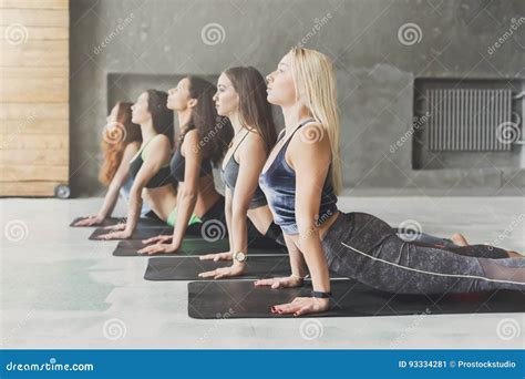 Young Women In Yoga Class Cobra Pose Stretching Stock Image Image Of