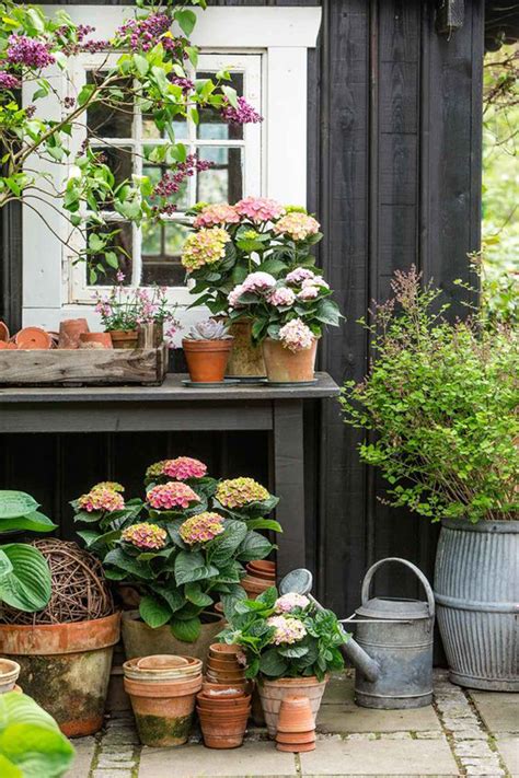 22 Colorful Container Garden Ideas For Spring HomeMydesign