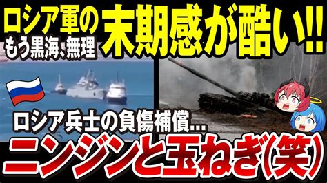 【ゆっくり解説】ロシア軍、クリミア半島終焉秒読み「さらに艦艇を損傷し黒海大ピンチ」ロシアの末期感→前線で負傷の兵士への補償金はまさかの「野菜