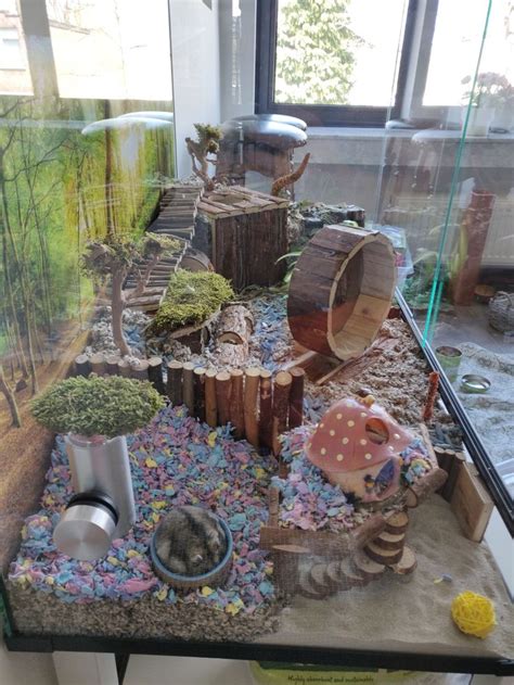 Hamsterscaping Hamster Tank Hamster Life Hamster Habitat Hamster