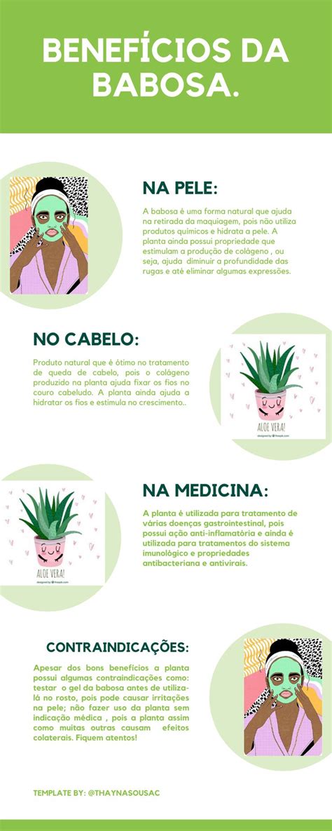 A Babosa Uma Planta Conhecida Mundialmente Devido Aos Seus Grandes