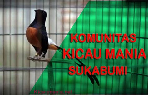 Komunitas Kicau Mania Sukabumi Kicaumania Net