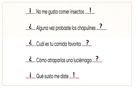 Ejemplos De Oraciones Con Signos De Interrogacion Y Admiracion Images