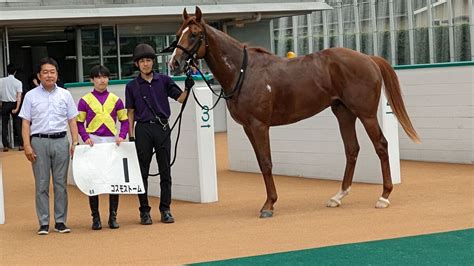 【小倉6r・2歳新馬】デクラレーションオブウォー産駒のコスモストームがデビュー勝ち Umatoku 馬トク