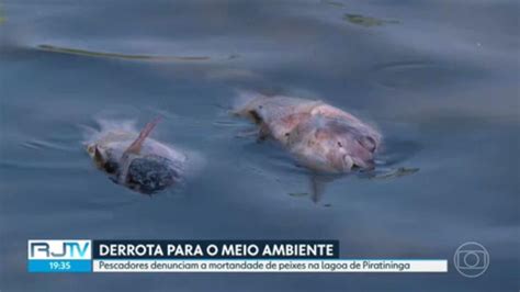 V Deo Pescadores De Niter I Denunciam A Mortandade De Peixes Na Lagoa