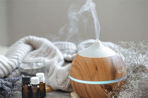 Masih Sering Salah Ini Bedanya Fungsi Diffuser Dan Humidifier Parapuan