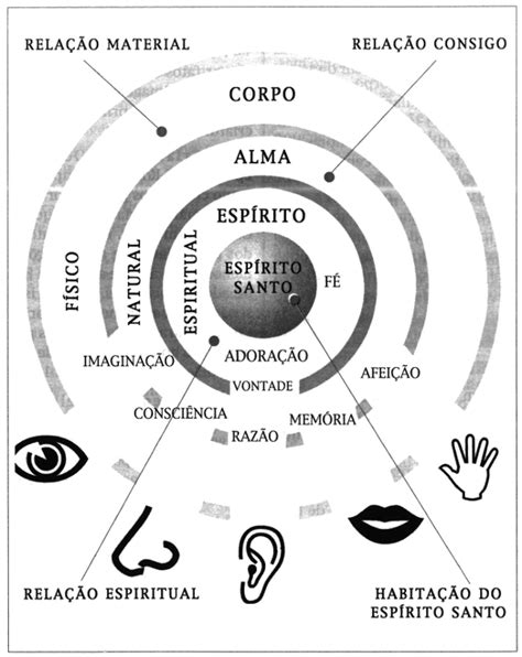 Aqui eu Aprendi O Homem coroa da criação