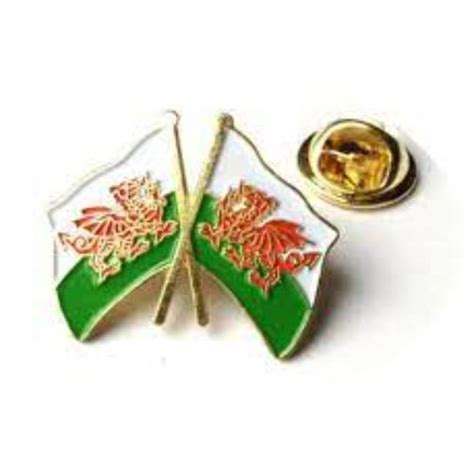 Wales Flag Pin Badge – A. B. Snell & Son