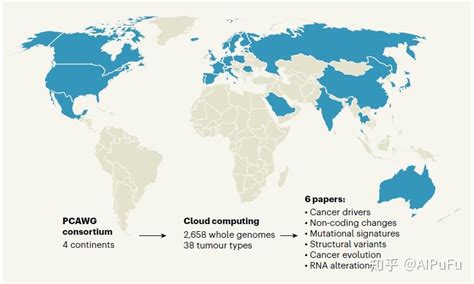 Nature：全球癌症基因组计划开花结果 知乎