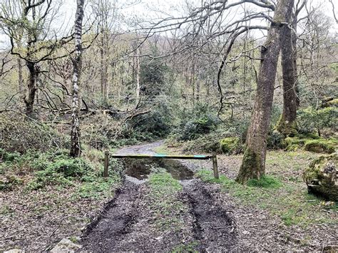 Track In Dodgson Wood Oliver Dixon Geograph Britain And Ireland