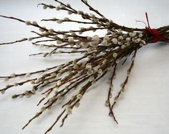Pussy Willow Etsy