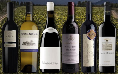 Os Melhores Vinhos Do Mundo Descubra A Hist Ria Por Tr S De Saint