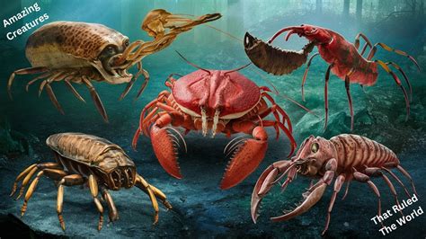 Ancient Arthropods Unveiling Prehistoric Secrets Youtube