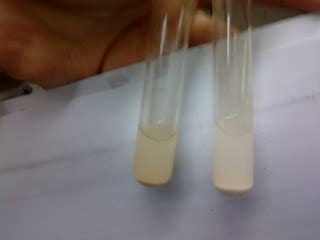 Memories of 0903PM10: Chemistry (Off-White Precipitate)