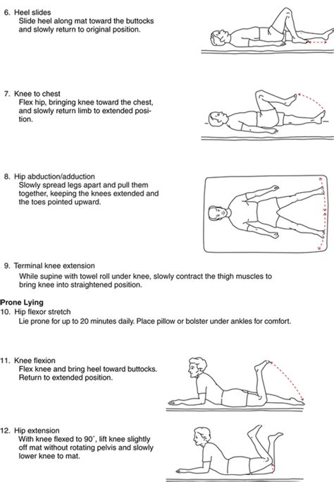 Orthopedic Management Of The Hip And Pelvis Musculoskeletal Key