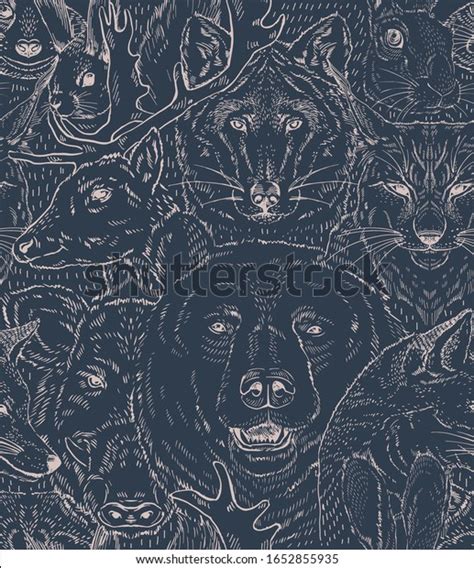 Forest Animals Realistic Hand Drawn Vector Stock Vector (Royalty Free ...