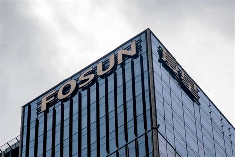 43 Of Fosuns Usd9 6 Billion First Half Revenue Came From Overseas