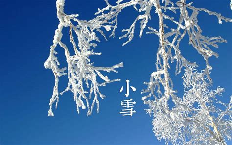 5首小雪诗词：小雪节到下大雪，一片飞来一片寒百科ta说