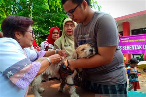 Peringati Hari Rabies Sedunia Sudin KPKP Jakpus Bagi Vaksin Gratis