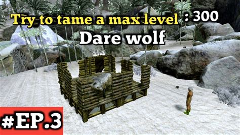 Try To Tame Max Level Dare Wolf Ice Biome Ark Survival Evolved