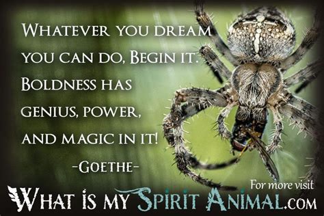 How to Build Wealth with Your Spirit Animal - What Is My Spirit Animal ...