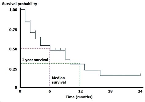 A Basic Kaplan Meier Survival Plot That Censoring Is Indicated In This