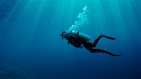 Scuba Diving Lake Hartwell Country South Carolina Mountains