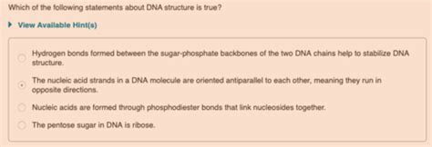 Chapter Nucleic Acids Flashcards Quizlet