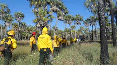 Habilitaron La Preinscripción Para El Curso Básico Para Combatientes De Incendios Forestales