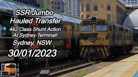 SSR Jumbo Hauled Transfer 442 Classes Shunt And Haul Sydney NSW