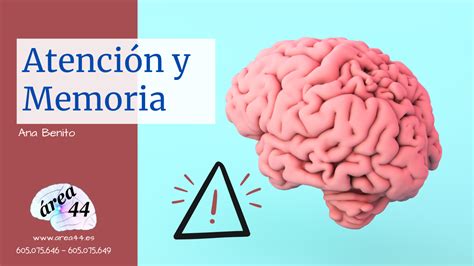 Relación atención y memoria I Área 44 Servicios Educativos