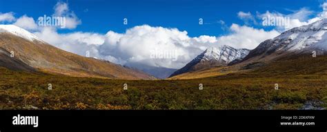 Grizzly Lake In Tombstone Territorial Park Yukon Canada Stock Photo