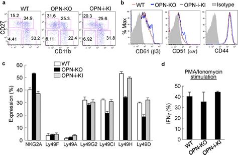 Fig S2 Reduced Mature NK Cells From OPN I Deficient Mice A