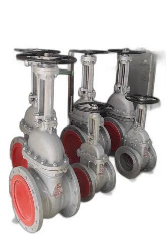 Ci Cs SS MS 150 300 Gate Sluice Valves For Industrial At Rs 3000