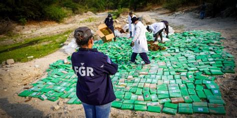 Destruyen Droga Valorada En M S De Millones E Incautada En Diversos