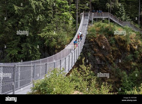 Elk Falls suspension bridge in Elk Falls Provincial Park spans the ...